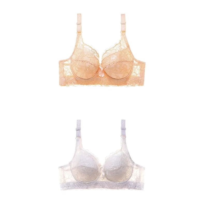 2 Piece Lace Bra Push Up Bras Underwear Bralette Lingerie Plus Size Tops Brassiere BH Backless Bras