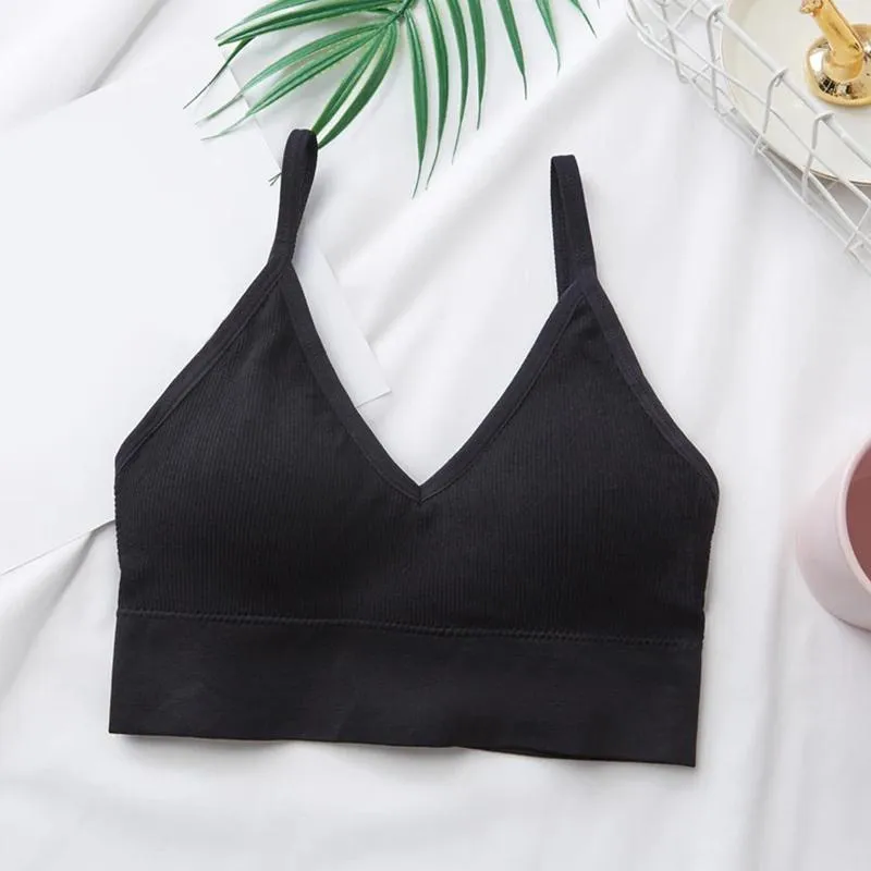 Elastic And Padded Midriff Sports Bra