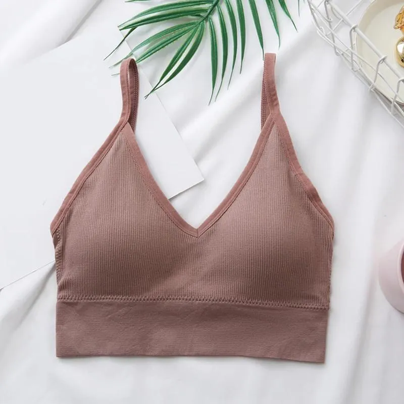 Elastic And Padded Midriff Sports Bra